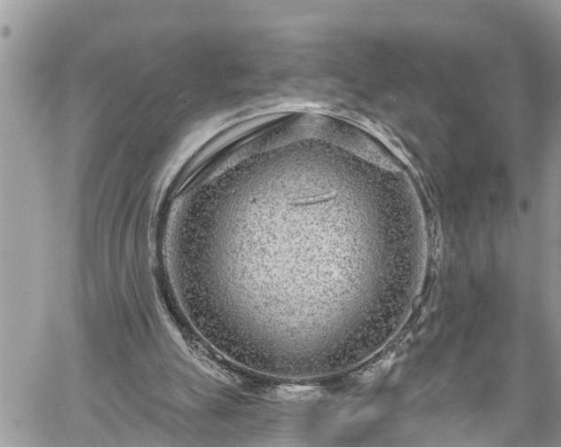 X0000060240055200510311533