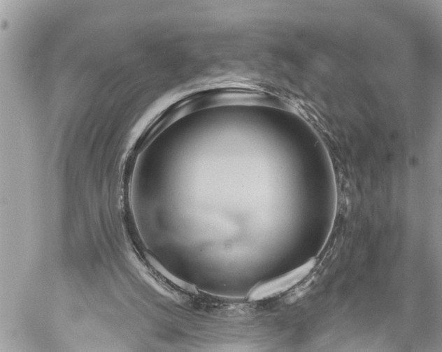 X0000060240056200510311533