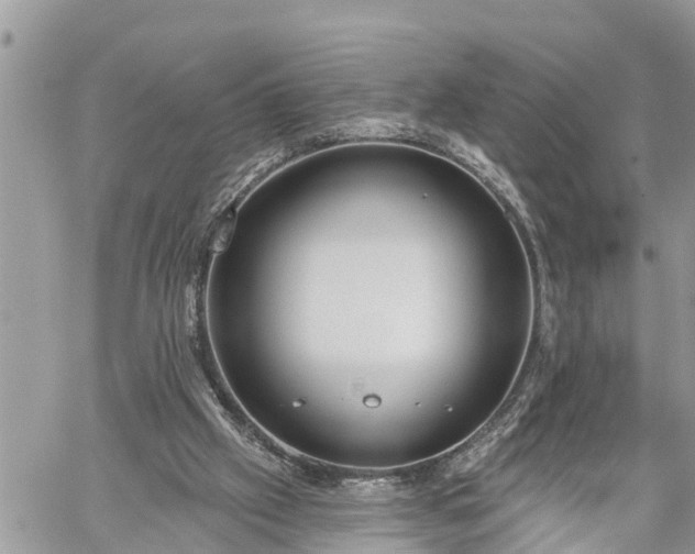 X0000060240057200510311533