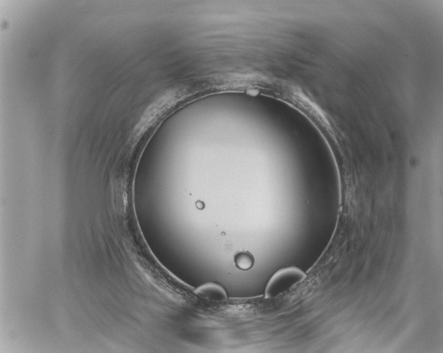 X0000060240059200510311533