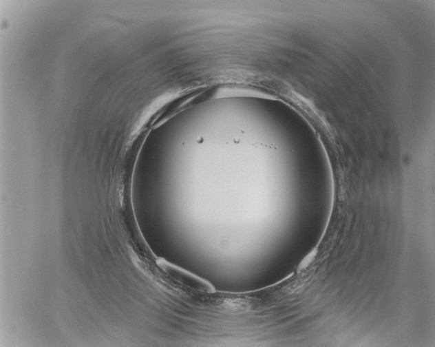 X0000060240060200510311533