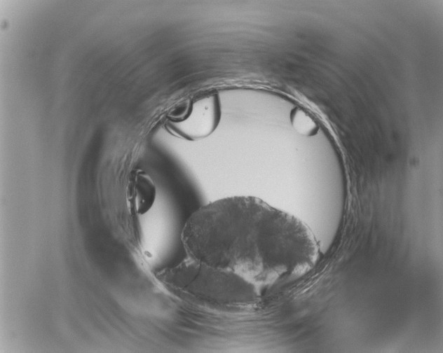 X0000060240061200510311533