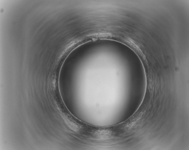 X0000060240063200510311533