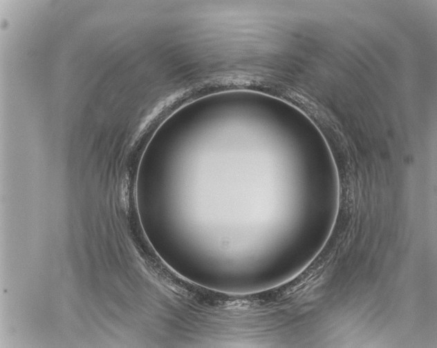 X0000060240064200510311533