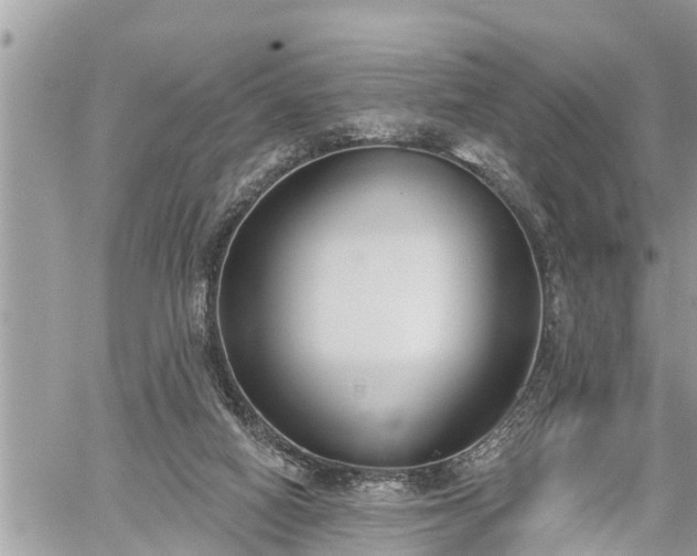 X0000060240066200510311533