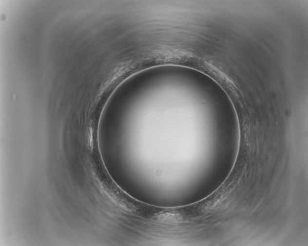 X0000060240067200510311533