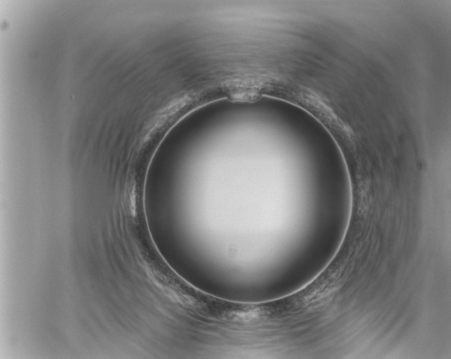 X0000060240068200510311533