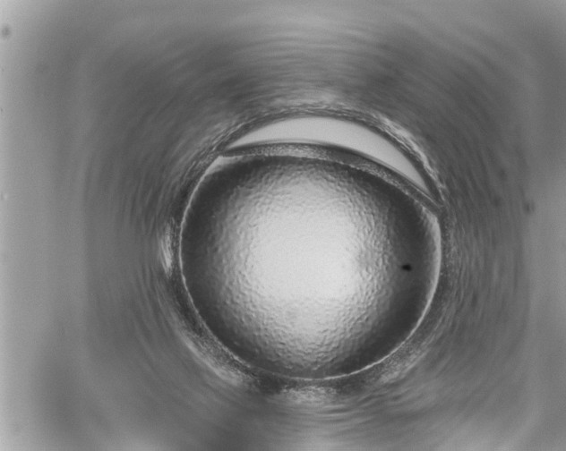 X0000060240069200510311533