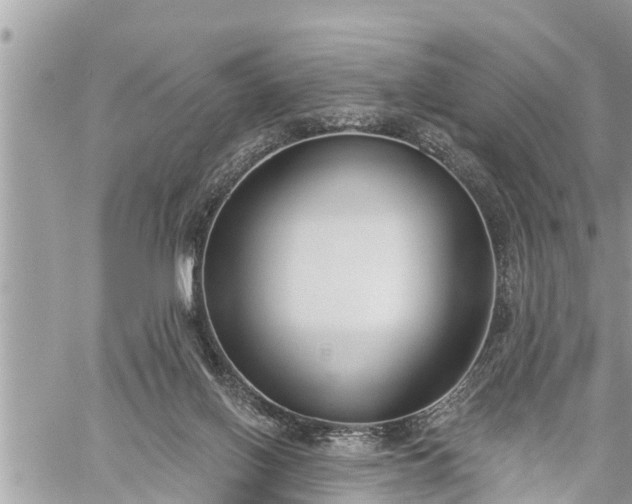 X0000060240070200510311533