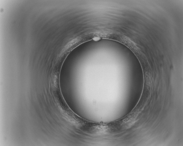 X0000060240071200510311533