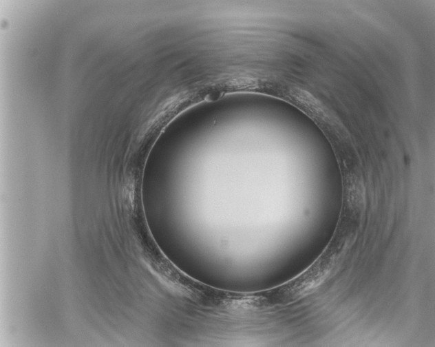 X0000060240072200510311533