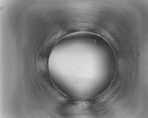 X0000060240073200510311533