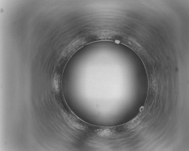 X0000060240074200510311533