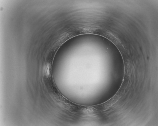 X0000060240075200510311533