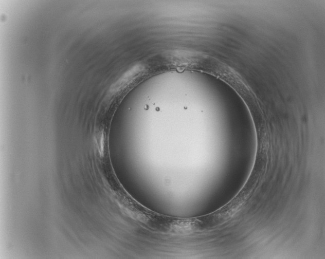 X0000060240076200510311533