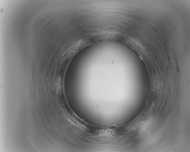 X0000060240077200510311533