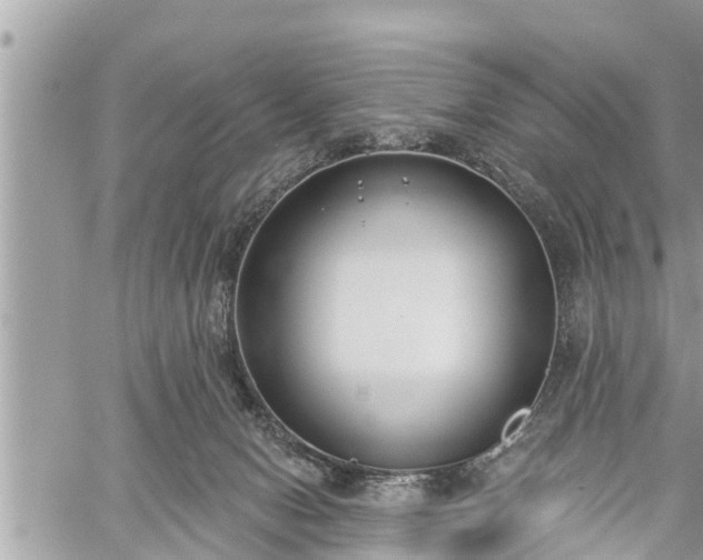 X0000060240078200510311533