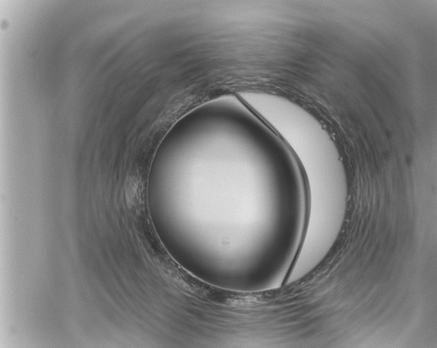 X0000060240079200510311533