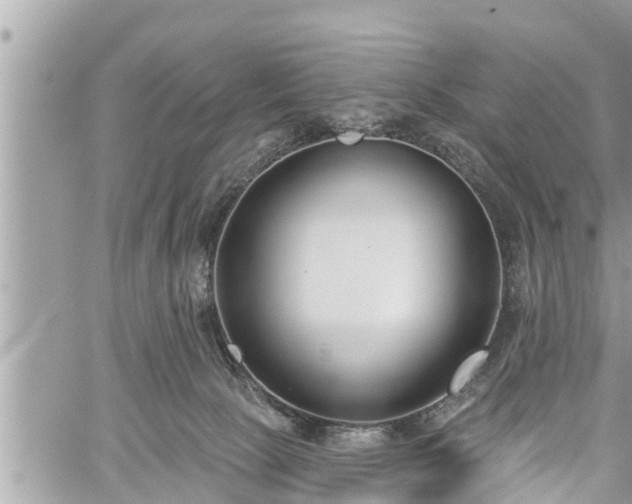 X0000060240081200510311533