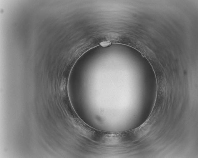 X0000060240082200510311533