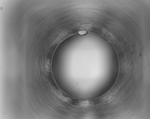 X0000060240083200510311533