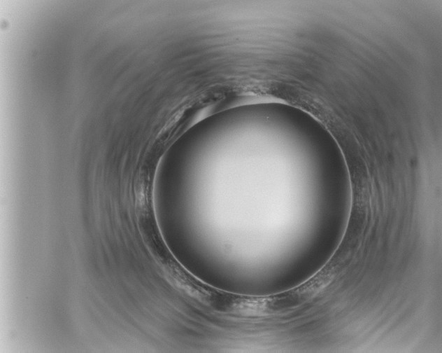 X0000060240084200510311533