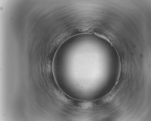 X0000060240085200510311533