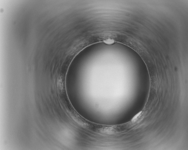 X0000060240086200510311533