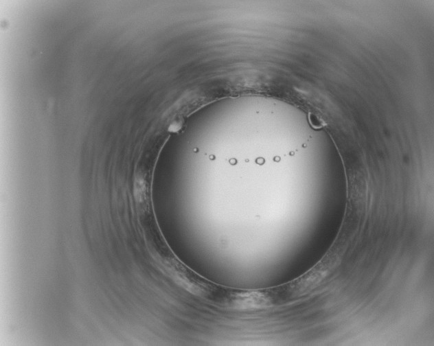 X0000060240087200510311533