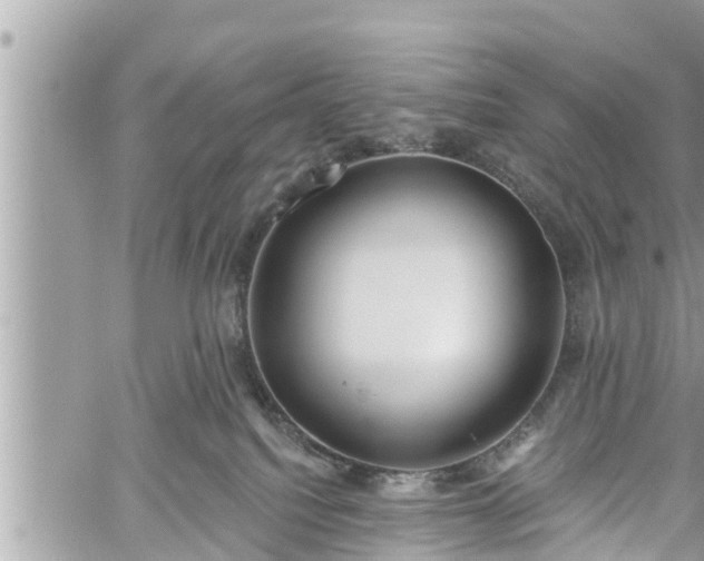 X0000060240088200510311533