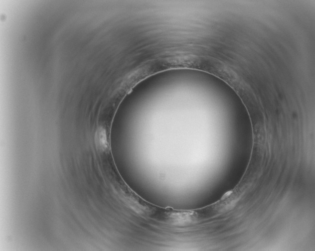 X0000060240089200510311533