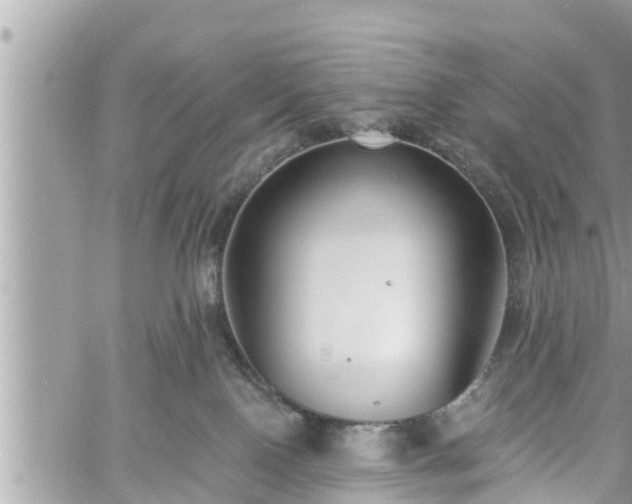 X0000060240090200510311533