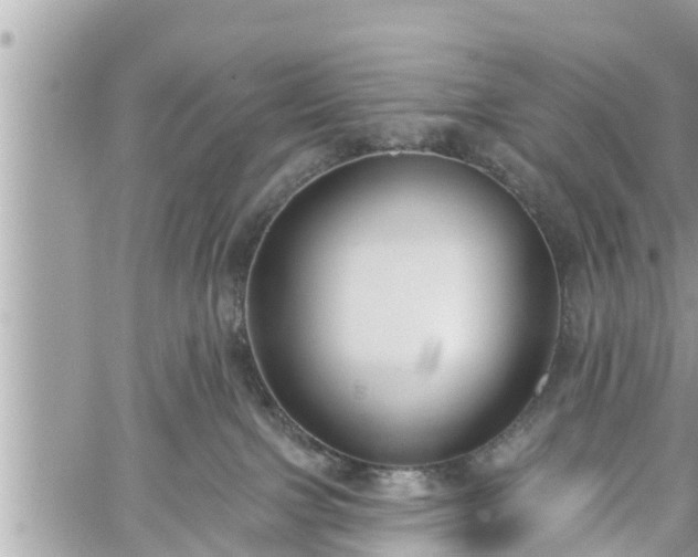 X0000060240091200510311533