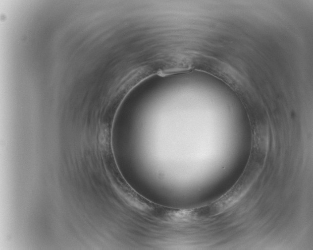 X0000060240092200510311533