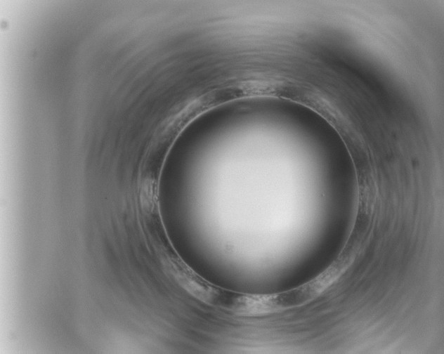 X0000060240093200510311533