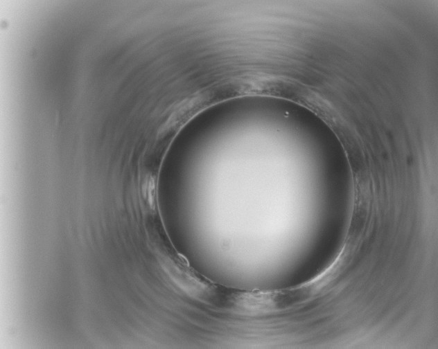 X0000060240094200510311533