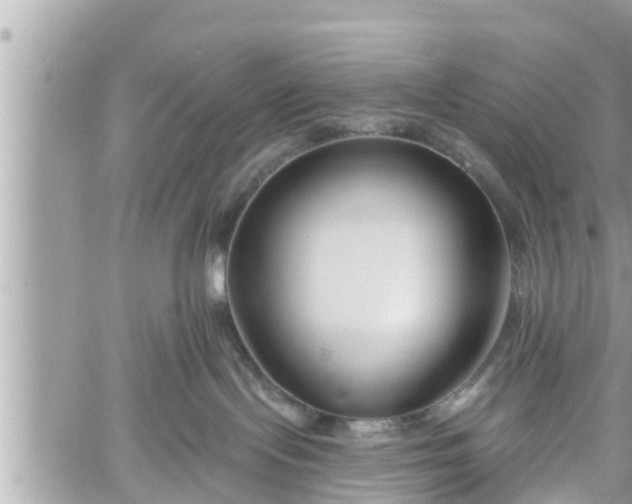 X0000060240095200510311533