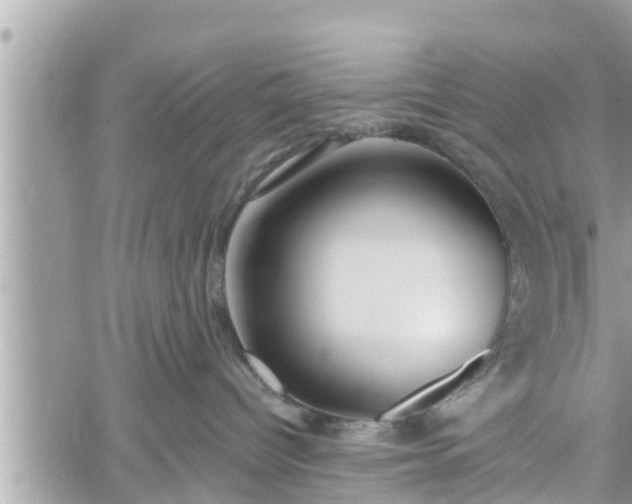 X0000060240096200510311533