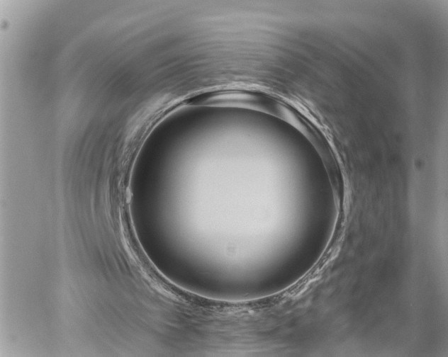 X0000060240097200510311532