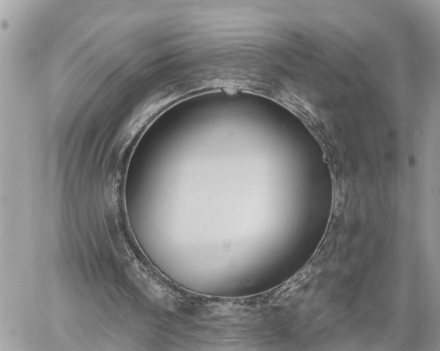 X0000060240098200510311532