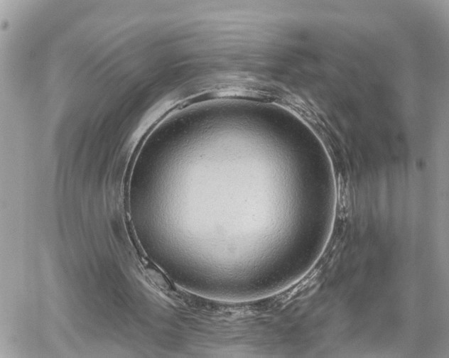 X0000060240099200510311532