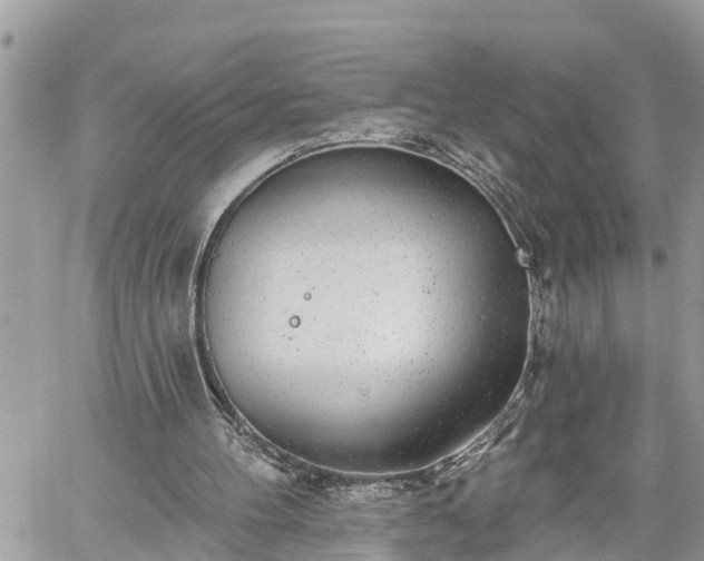 X0000060240100200510311532