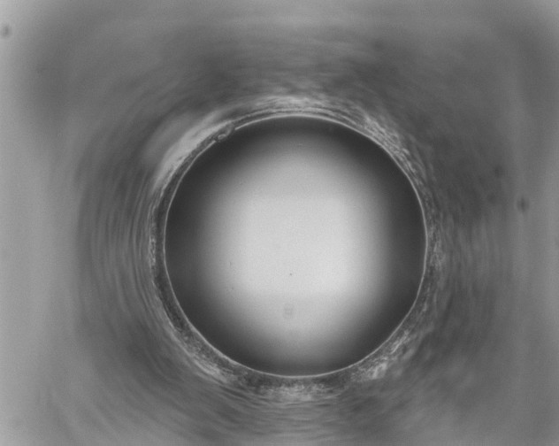 X0000060240103200510311532