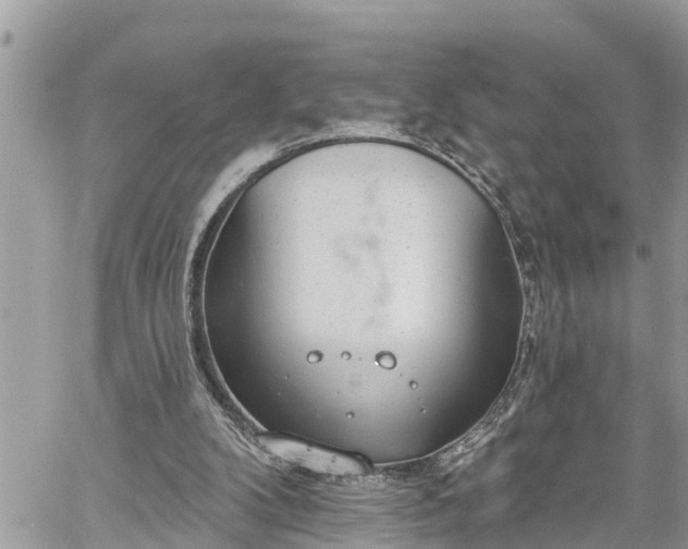 X0000060240104200510311532