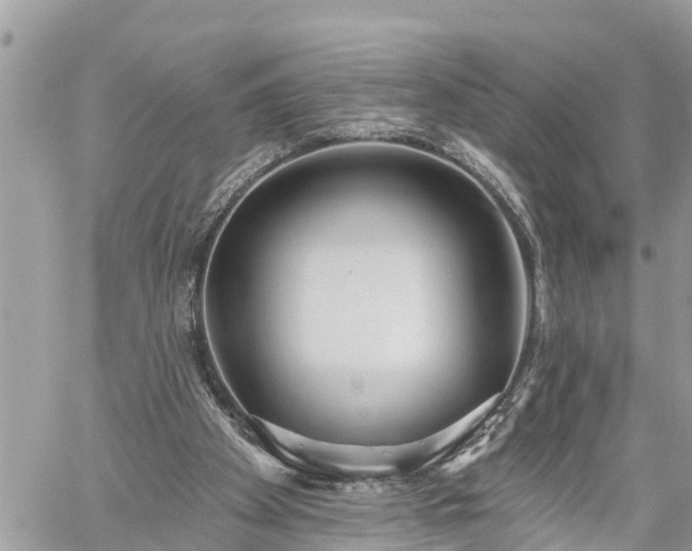 X0000060240105200510311532