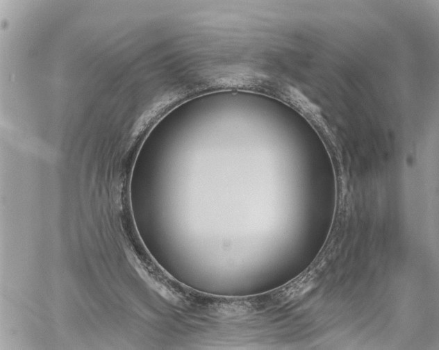 X0000060240106200510311532