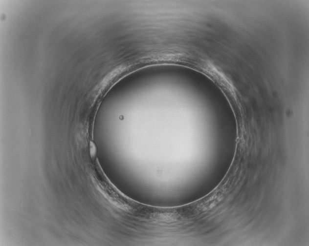 X0000060240107200510311532