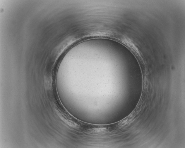 X0000060240108200510311532