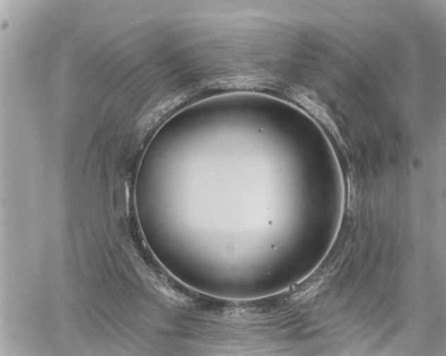 X0000060240109200510311532