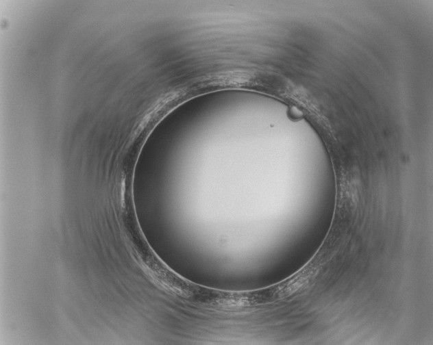 X0000060240110200510311532